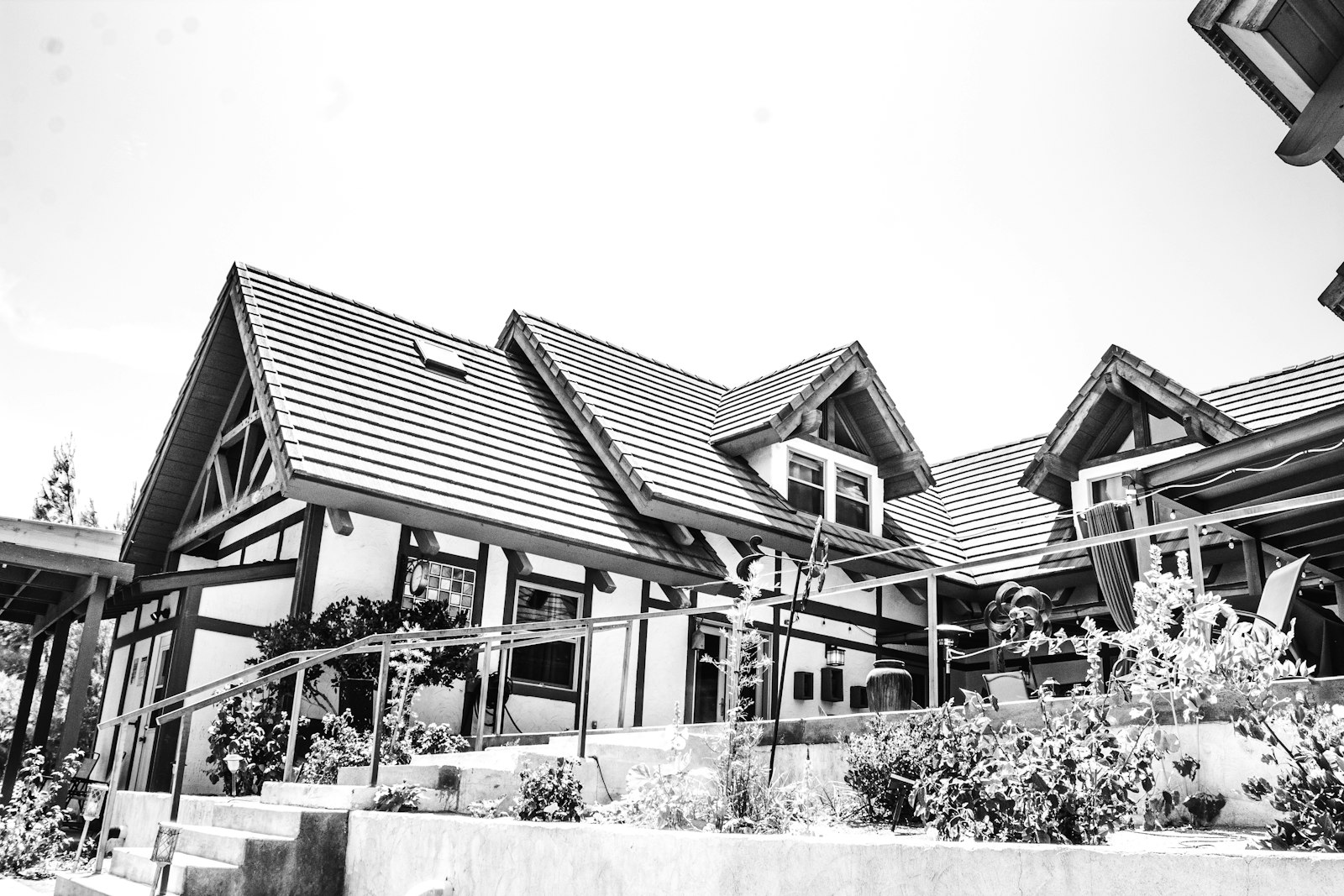 Homes designed in relation to their street and surrounding neighbourhood